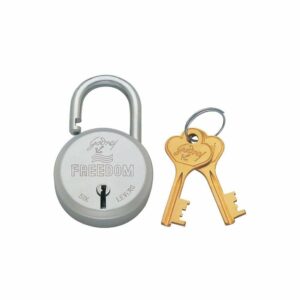 godrej freedom 6 levers round padlock with 2 keys aluminium body lock for main door silver pack of 1 product images orvdb8sbeh9 p610033879 0 202409261923